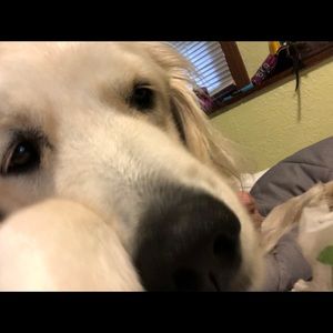 Meet your Posher, Nicholas